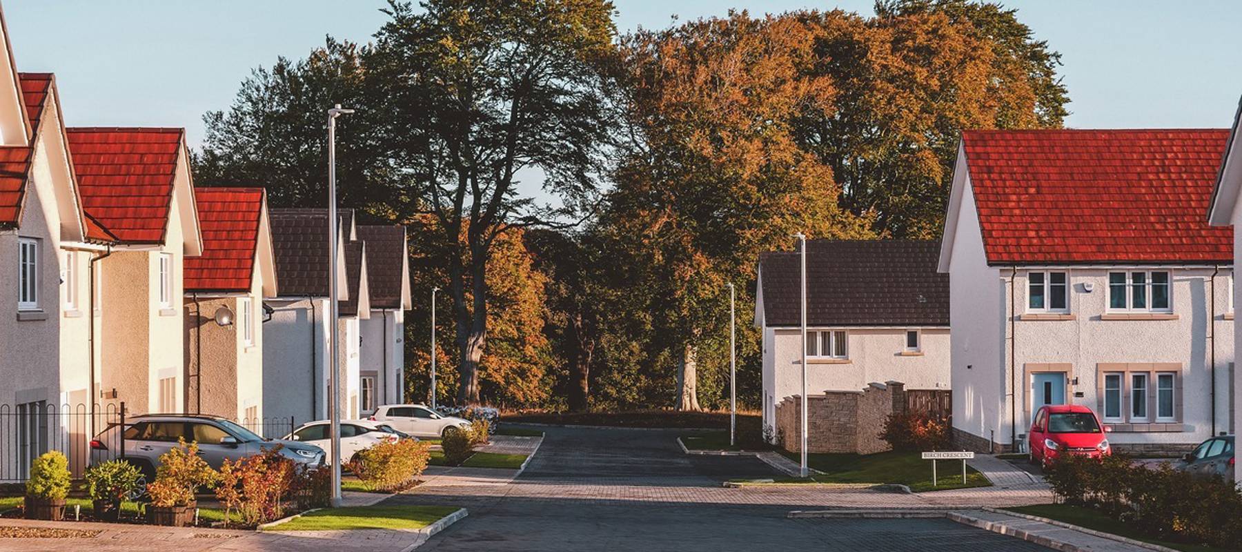 Belwood Oaks Autumn Street Scene