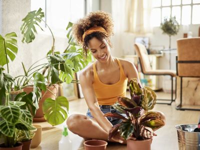 Plant expert shares ultimate green-thumbed guide for those wanting to have a little jungle at home