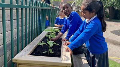 Local primary school takes a lesson from the garden